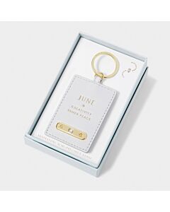 Katie Loxton Birthstone Keyring 'February'